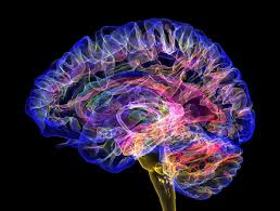 My Brain Injury Part&nbsp;1